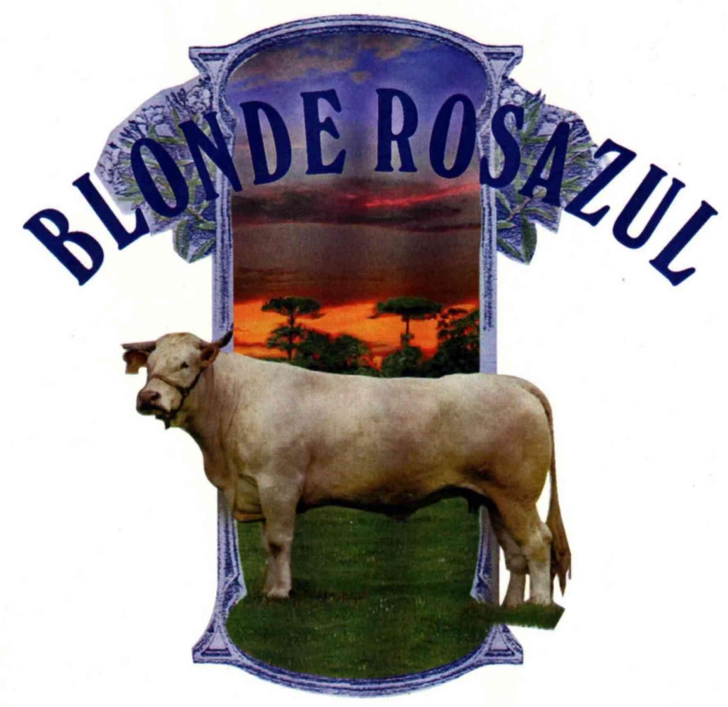 Cabanha